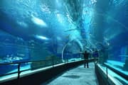 AquaRio