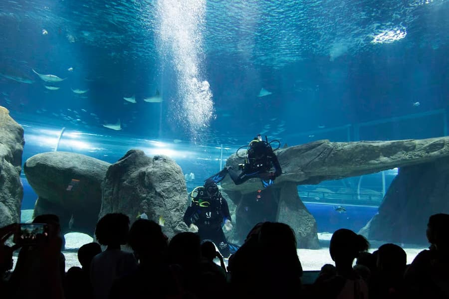 AquaRio - 2