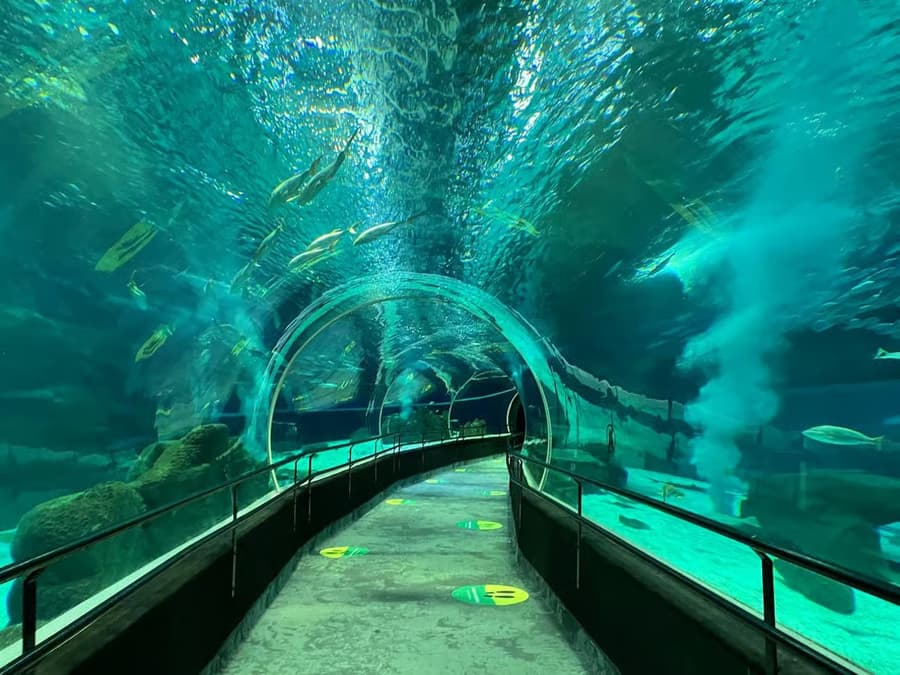 AquaRio - 4