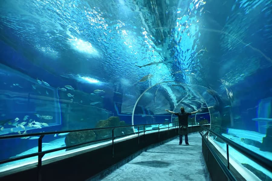 AquaRio - 3