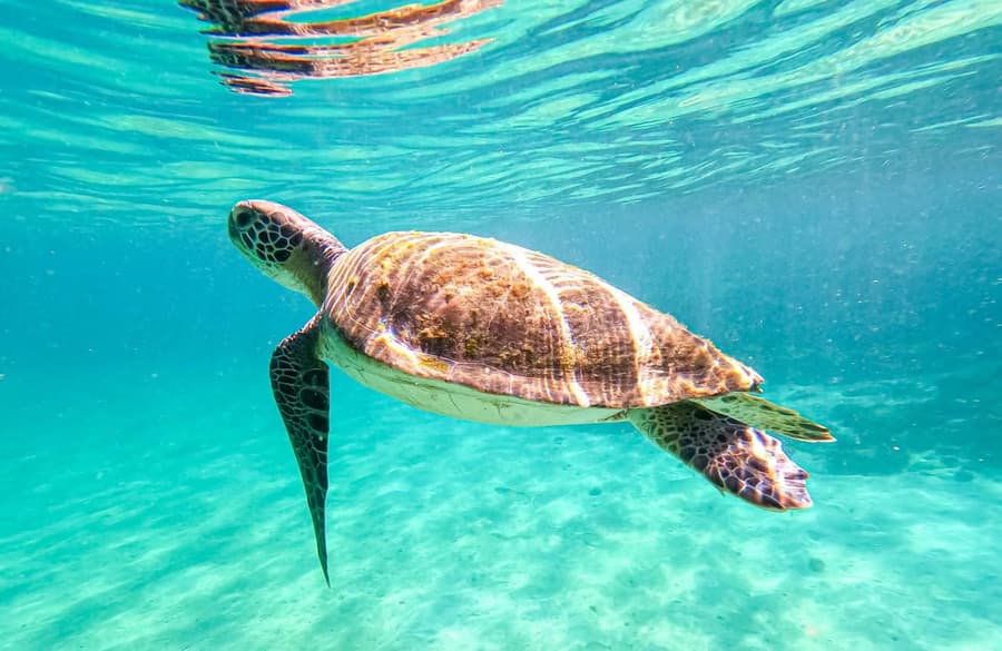 Tour Ilha Grande Full Day - 7